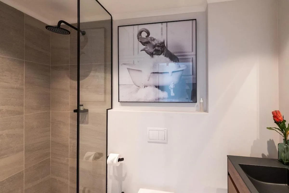 Mimosa Apartment In Greenpoint Cape Town South Africa